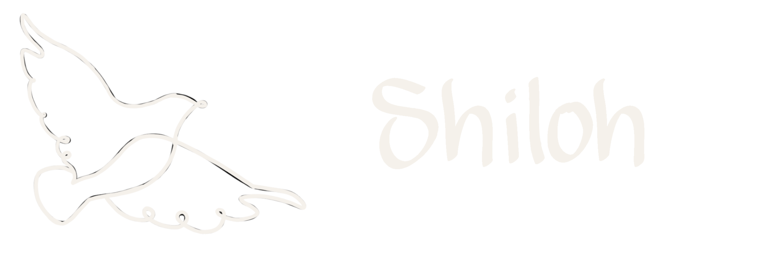 Shiloh Venue