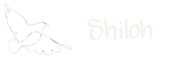 Shiloh Venue
