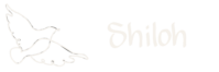 Shiloh Venue